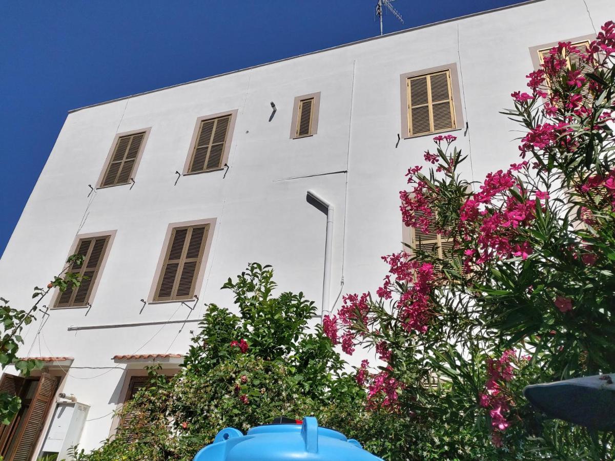Whole Holiday Home Apartment Splendid Civitavecchia Da Pamino & Priscilla Exterior photo